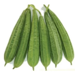 Ridge Gourd | Turia| Dodka 500g