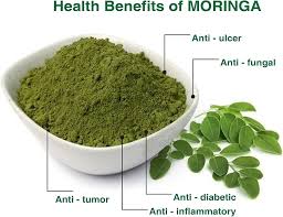 Tb Moringa Powder 100g