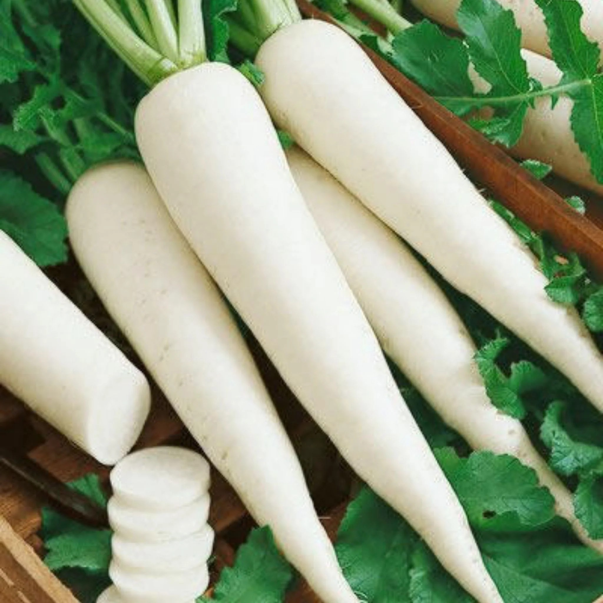 Muli | Radish 400g