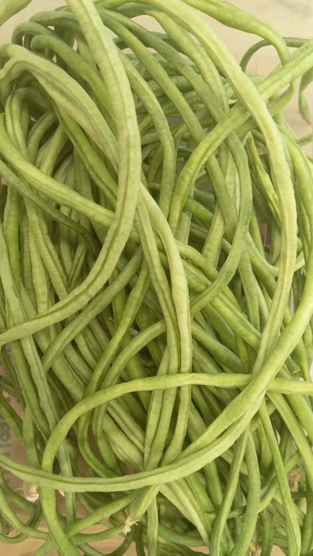 Long Beans