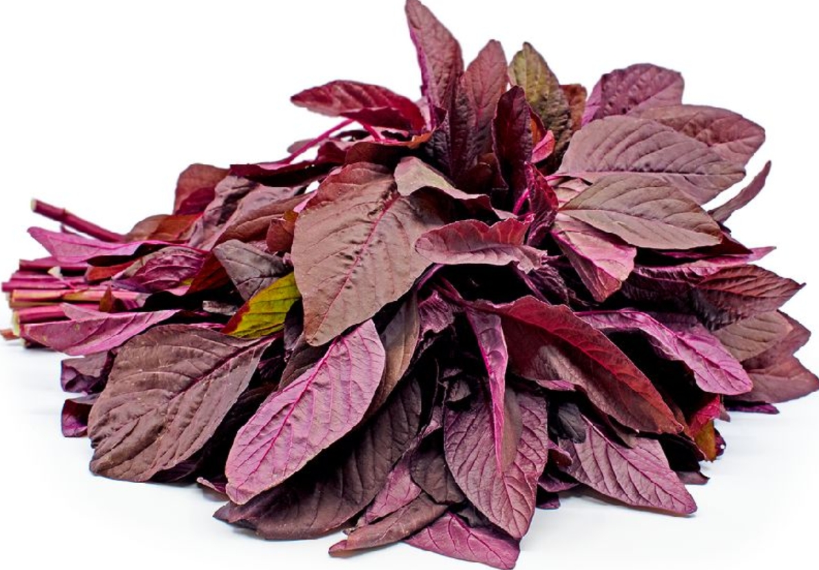 Red Amarnath Leaves-1 Stuck
