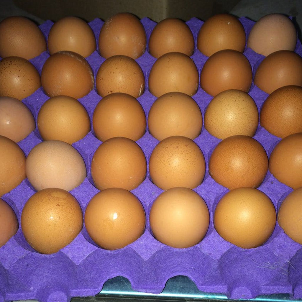 Brown Eggs-m Size(30pcs)